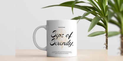 Rocha Swaty Font Poster 12