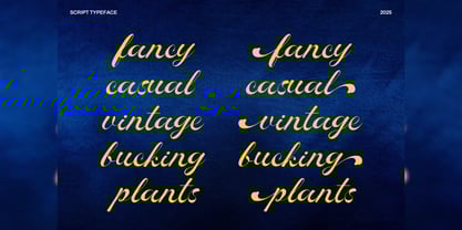 Rocha Swaty Font Poster 7