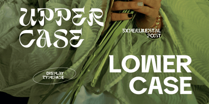 Sokivert Font Poster 10
