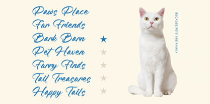 Feature Liften Font Poster 13