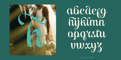 Dalbergia Font Poster 6