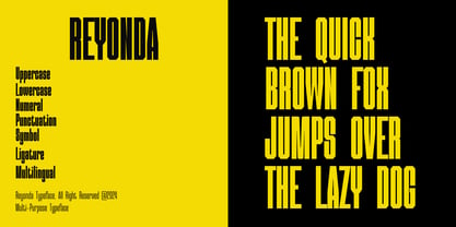 Reyonda Font Poster 8