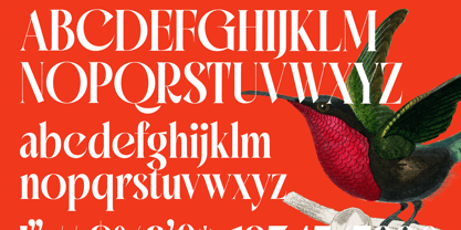 Mactge Font Poster 15