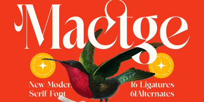 Mactge Font Poster 1