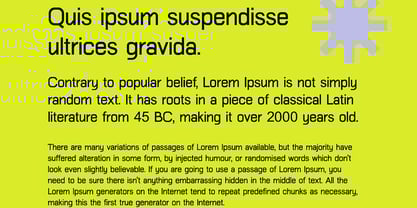 Folkmote Neue Font Poster 8