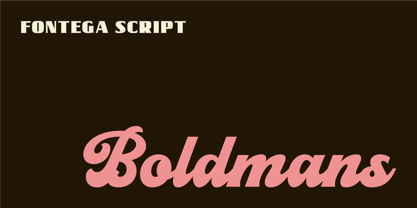 Fontega Font Poster 9