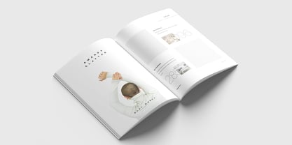 Meyer Nue Font Poster 6