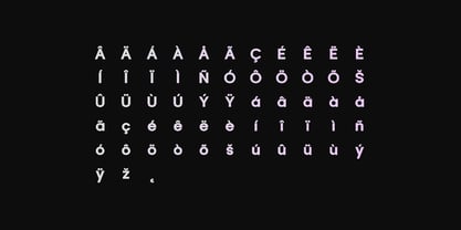 Meyer Nue Font Poster 3