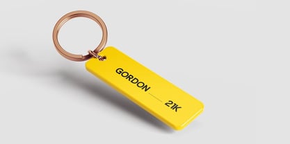 Meyer Nue Font Poster 8