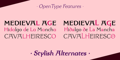 Dulcinea Serif Font Poster 10