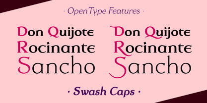 Dulcinea Serif Font Poster 8