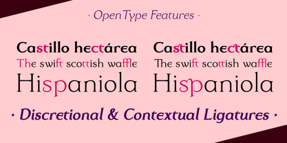 Dulcinea Serif Font Poster 11