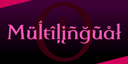 Dulcinea Serif Font Poster 12