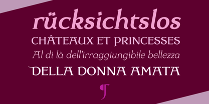Dulcinea Serif Font Poster 3