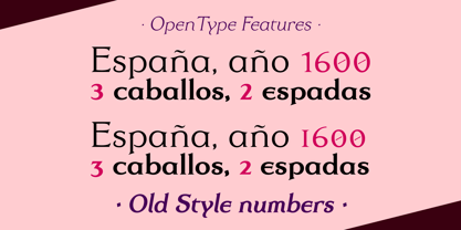 Dulcinea Serif Font Poster 9
