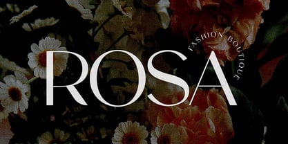 Sanctimony Font Poster 4