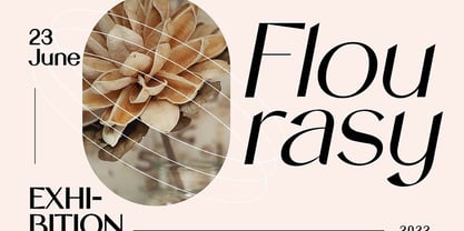 Sanctimony Font Poster 3