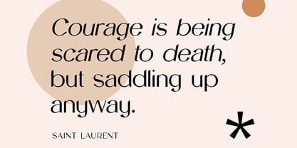 Sanctimony Font Poster 2