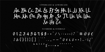 CF Nurhijaz Font Poster 9