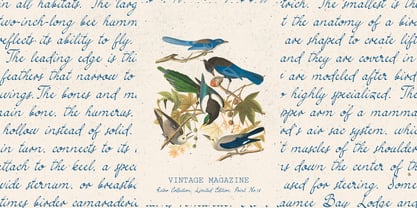 Simple Elegance Font Poster 3