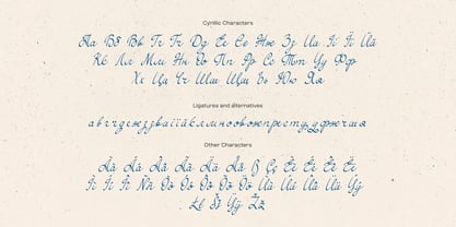 Simple Elegance Font Poster 11