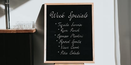 Simple Elegance Font Poster 13