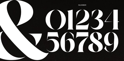 Bright Agnia Font Poster 11