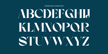 Bright Agnia Font Poster 6