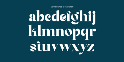 Bright Agnia Font Poster 7