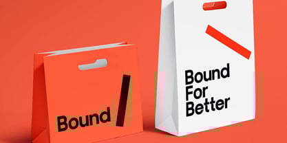 Hector Display Font Poster 5