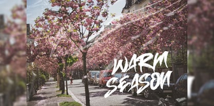 Hasimato Font Poster 11