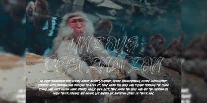 Hasimato Font Poster 14