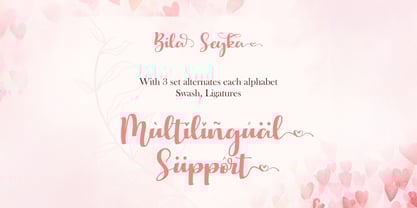 Bila Seyka Font Poster 9