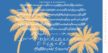 Ankara Stream Font Poster 15