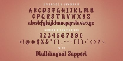 Patric Zihva Font Poster 7