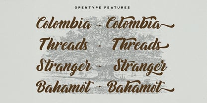 Biyonella Font Poster 3