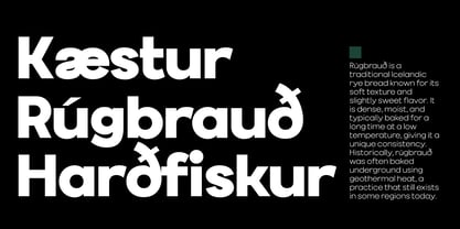 BR Beholding Font Poster 15