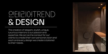 BR Beholding Font Poster 12