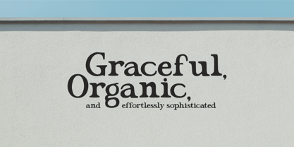 Montilge Font Poster 5