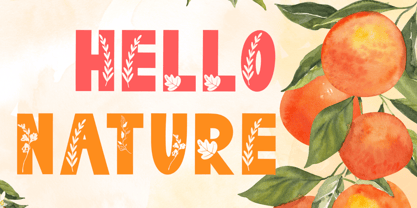 Dainty Spring Font Poster 2