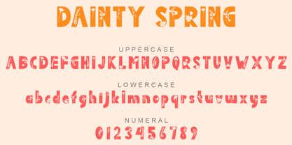 Dainty Spring Font Poster 5