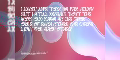 Bromise Font Poster 11