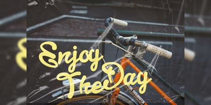 Bromise Font Poster 15