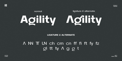 Hifty Font Poster 10