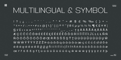 Hifty Font Poster 11