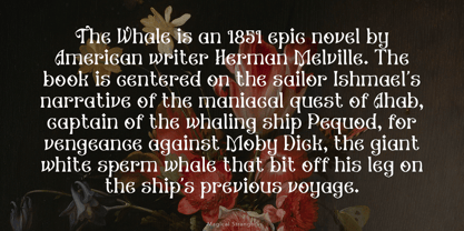 Magical Stranger Font Poster 8