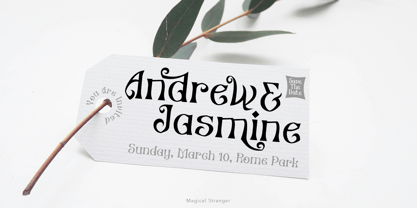 Magical Stranger Font Poster 5