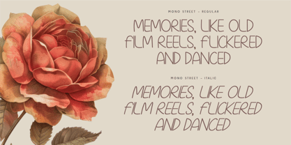 CF Mono Street Font Poster 6