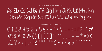 CF Mono Street Font Poster 5