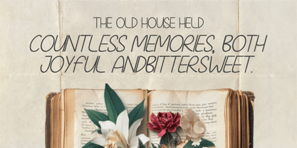 CF Mono Street Font Poster 4